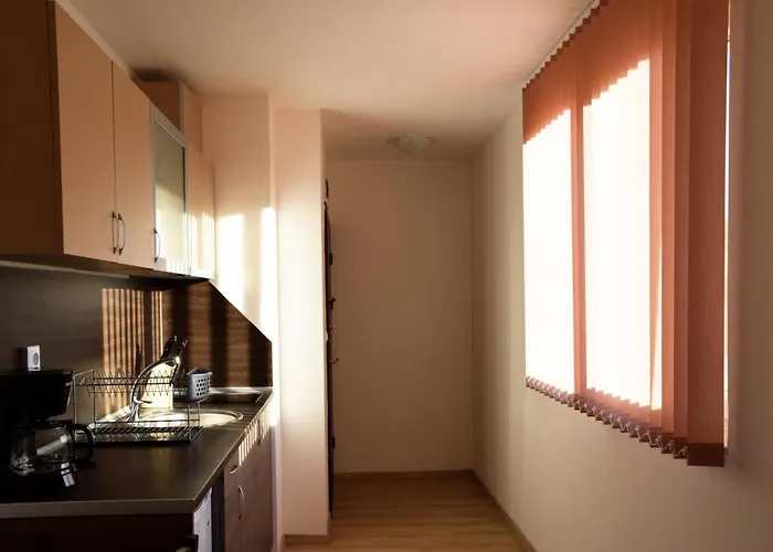 Asi Проживание в семье